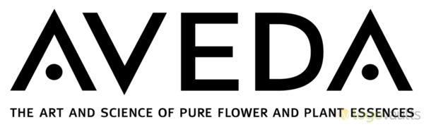 ヘアブラシ図鑑