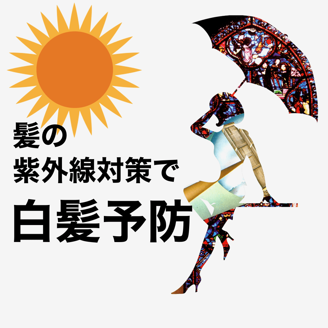 ヘアブラシ図鑑