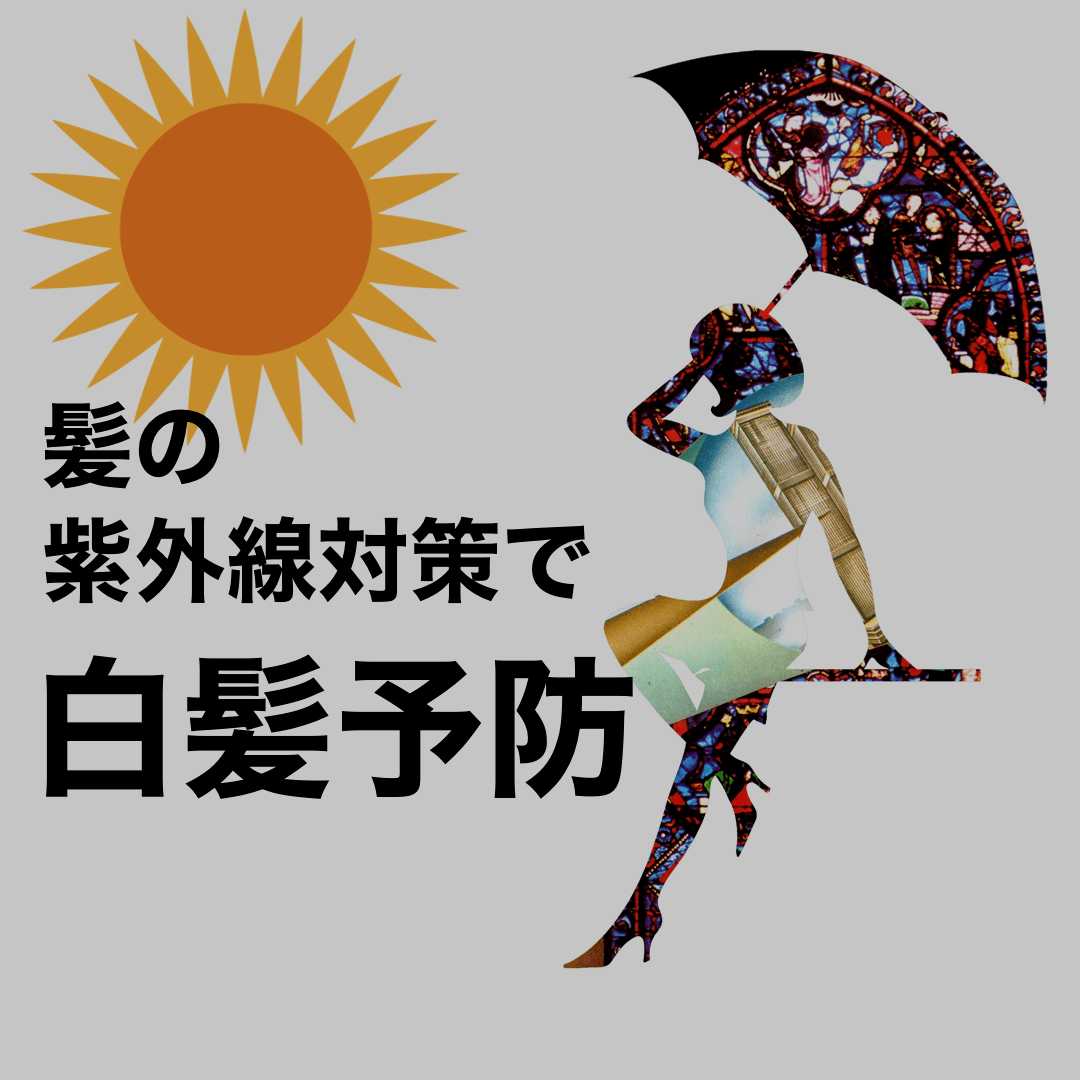 ヘアブラシ図鑑